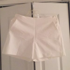 Ladies Maurice’s Dressy Shorts